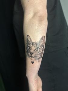 Gallery Image 10