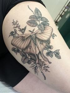 Gallery Image 12