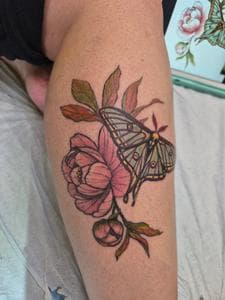 Gallery Image 10